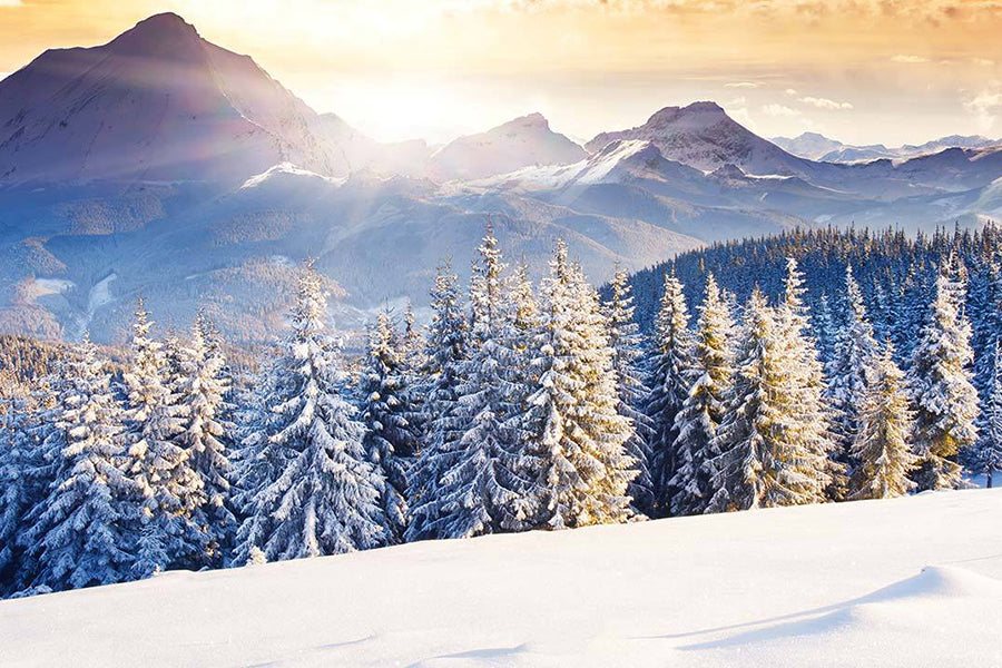 winter scenery wallpaper