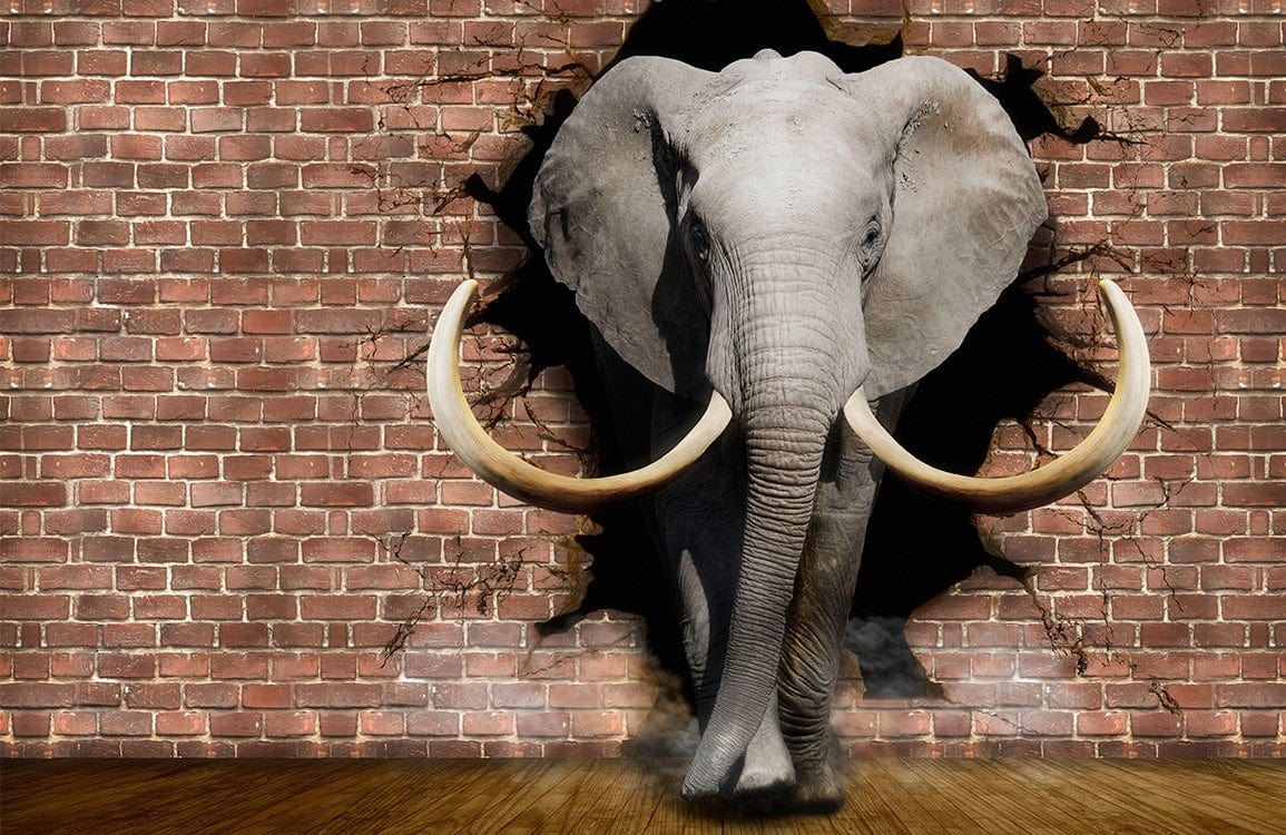 Brick Wall And 3d Elephant Wallpaper Mural 3d Wallpaper Uk 8277