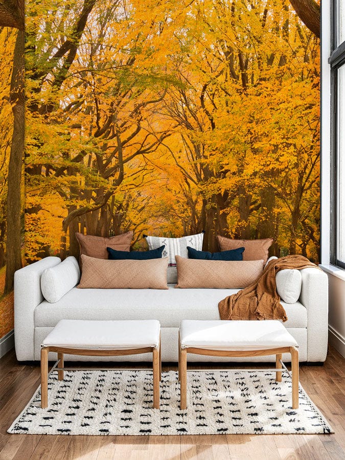 Autumn Path Wall Mural For Interior Decor | Everwallpaper UK