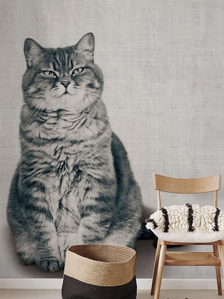 funny fat cat wallpaper