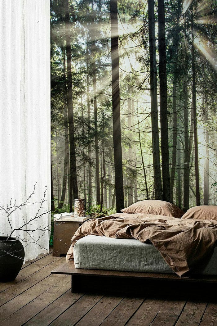 Forest wallpaper  Happywallcom