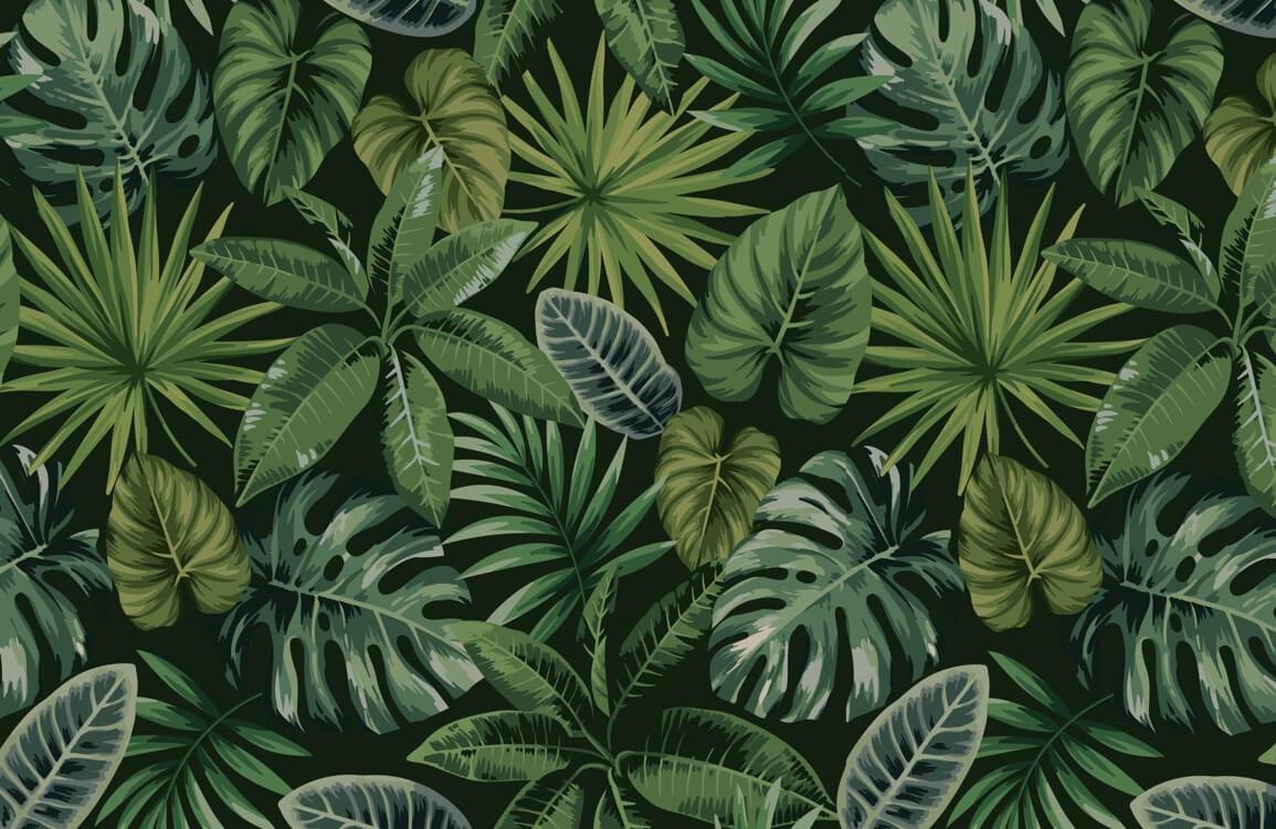 Blooming Wall Peel&Stick Tropical Palm Leaf Self-Adhesive Prepasted  Wallpaper Wall Mural (025) : Amazon.in: Home Improvement