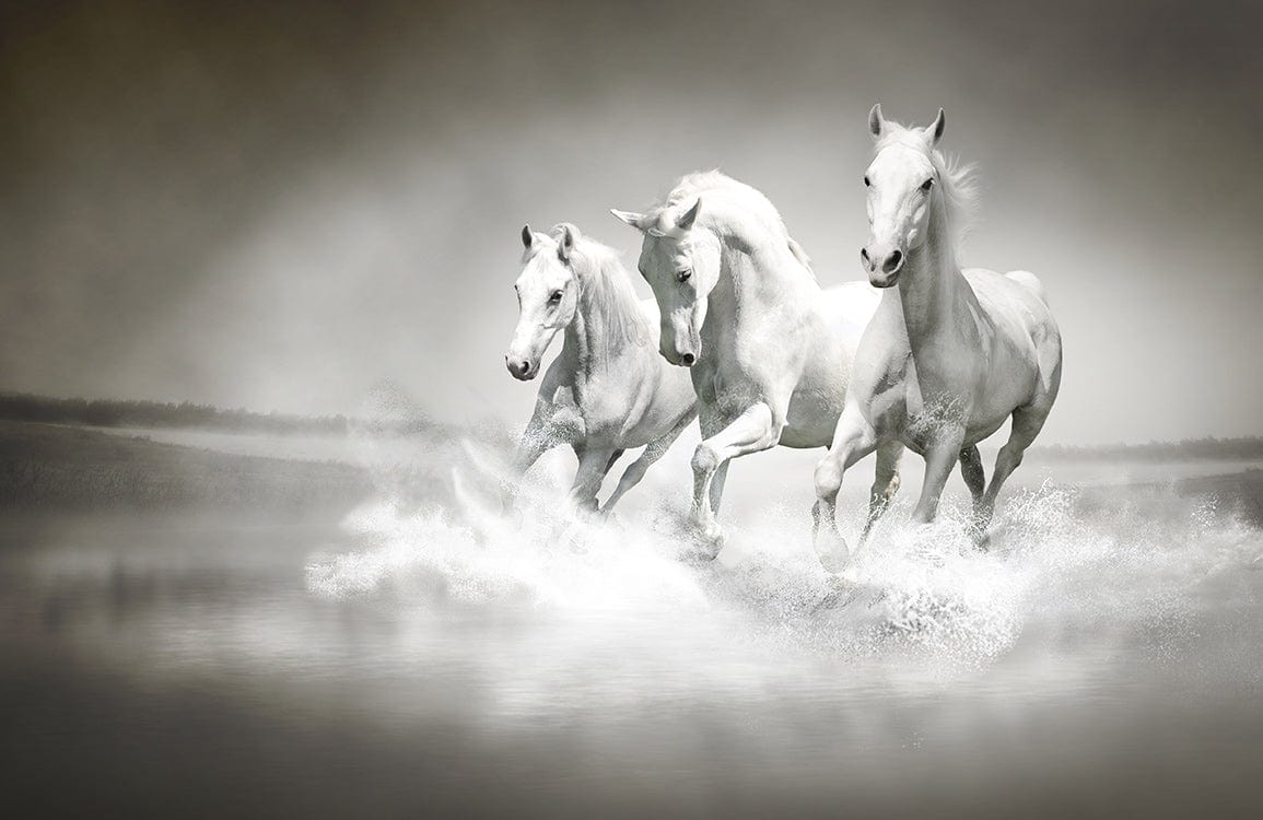 running horses wallpaper