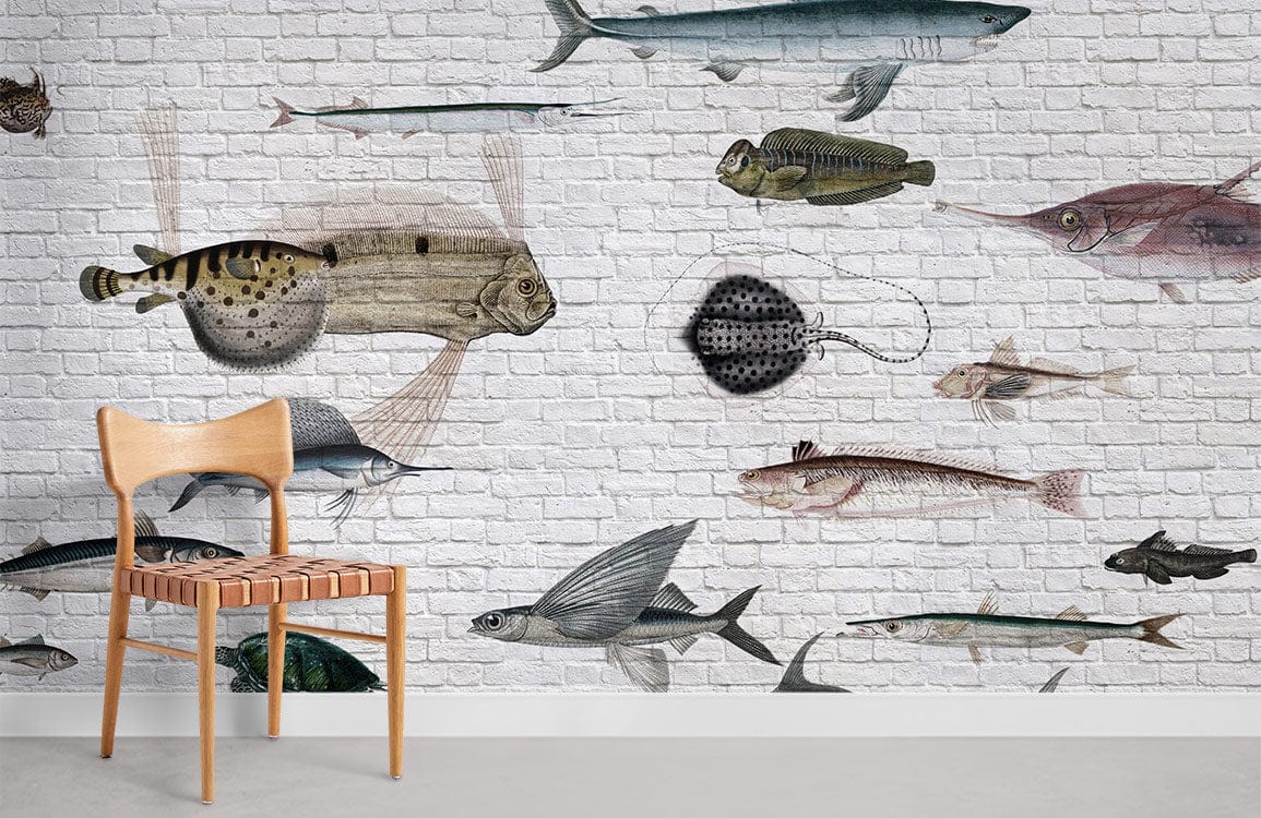 Fish Wallpaper Images  Free Download on Freepik