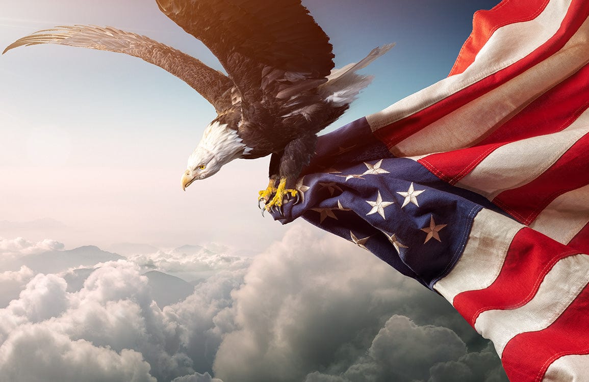 usa flag eagle wallpaper